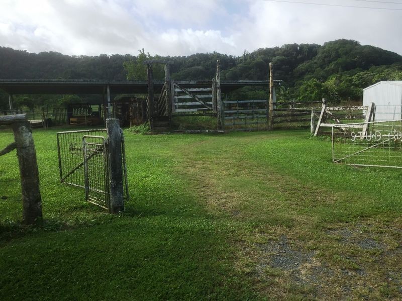 Lot 4 Davidson Road, Whyanbeel QLD 4873