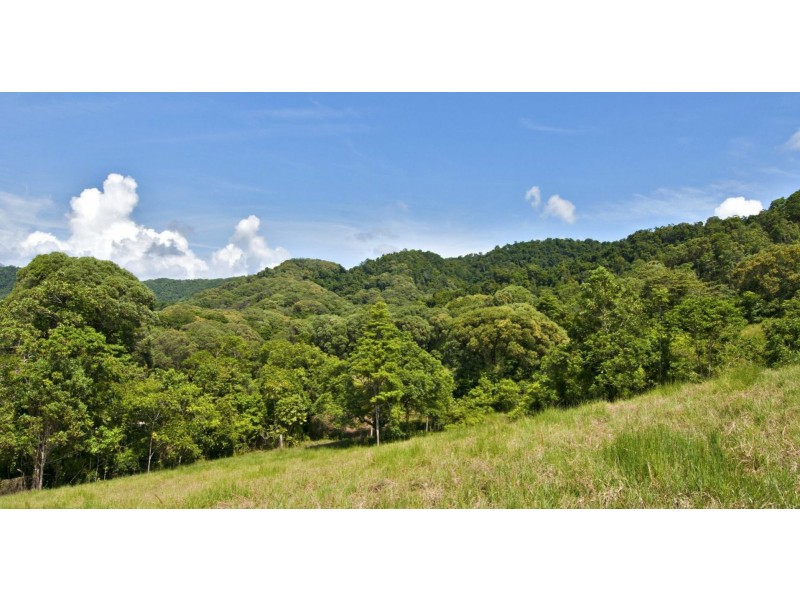 Lot 4 Davidson Road, Whyanbeel QLD 4873