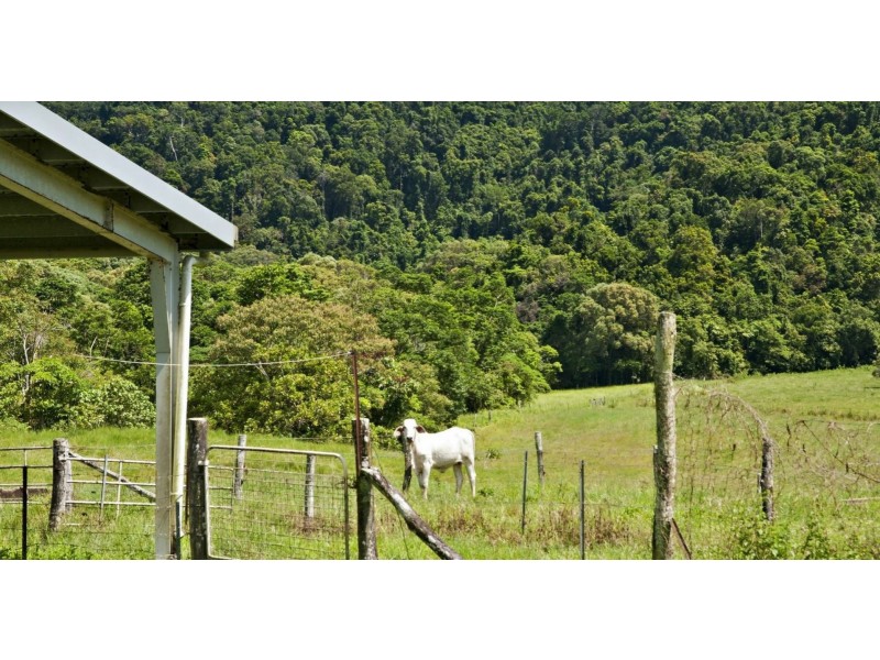 Lot 4 Davidson Road, Whyanbeel QLD 4873