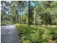 Lot 254 Buchanan Creek Road – Cow Bay, Daintree QLD 4873