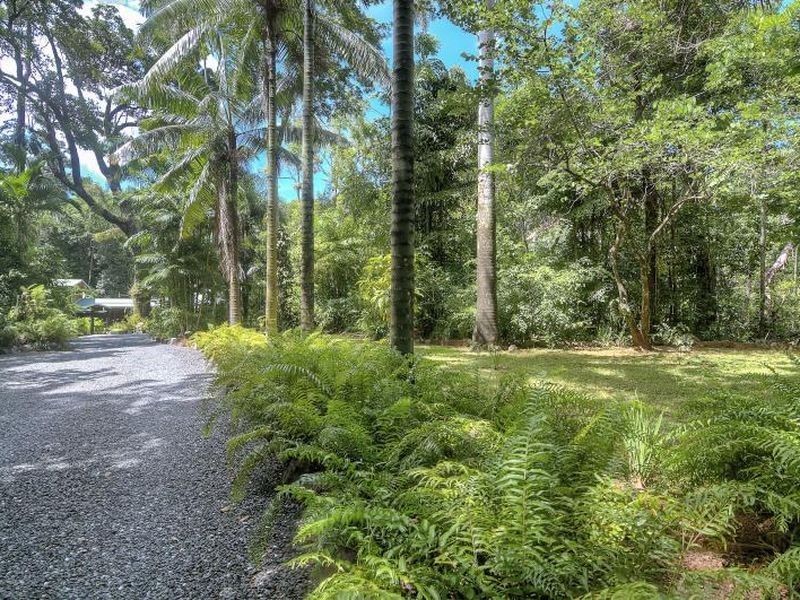 Lot 254 Buchanan Creek Road – Cow Bay, Daintree QLD 4873