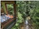 Lot 254 Buchanan Creek Road – Cow Bay, Daintree QLD 4873