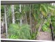 110 Reef Resort/121 Port Douglas Road, Port Douglas QLD 4877