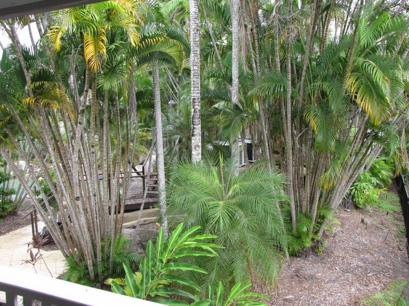 110 Reef Resort/121 Port Douglas Road, Port Douglas QLD 4877