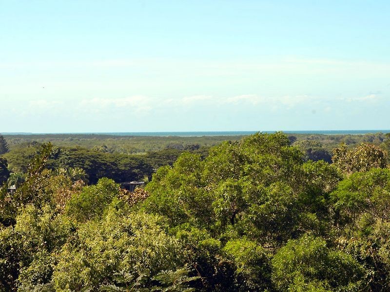 268 Mowbray River Road, Mowbray QLD 4877