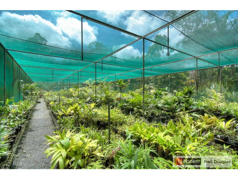 46 Stevens Road, Julatten QLD 4871