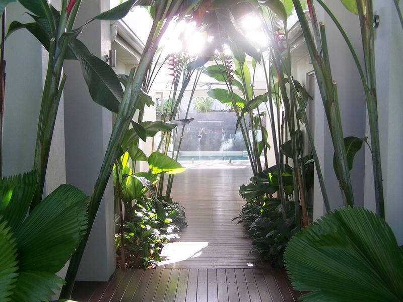 4 Jacana Close, Port Douglas QLD 4877