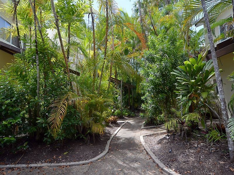 1/7 Morning Close, Port Douglas QLD 4877