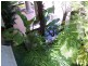 9/9 Port Douglas Road, Mediterrane, Port Douglas QLD 4877