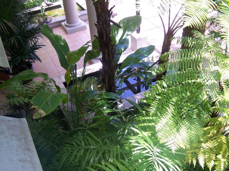 9/9 Port Douglas Road, Mediterrane, Port Douglas QLD 4877