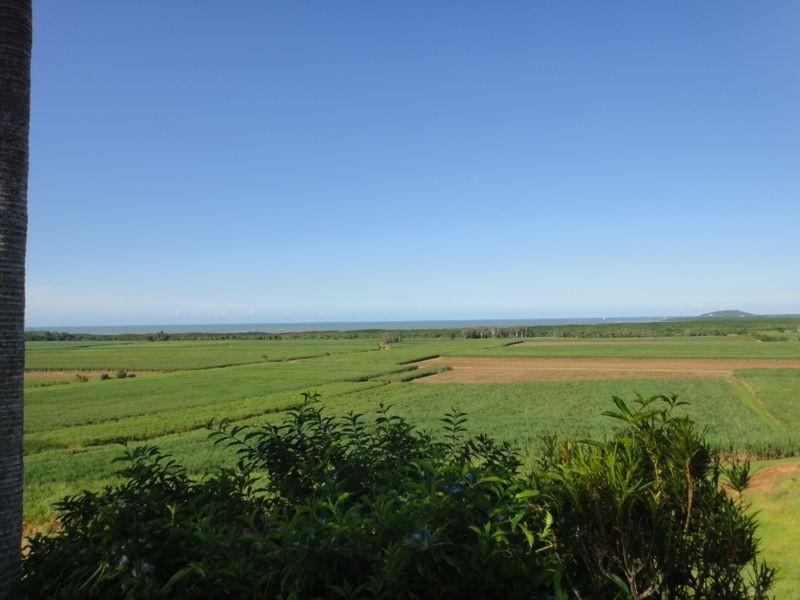 93 Santarossa Road, Via McCracken, Cooya Beach QLD 4873