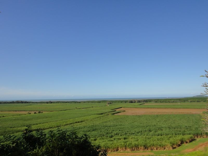 93 Santarossa Road, Via McCracken, Cooya Beach QLD 4873