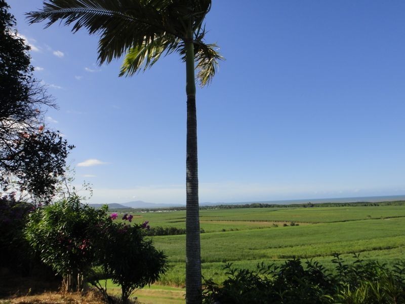 93 Santarossa Road, Via McCracken, Cooya Beach QLD 4873