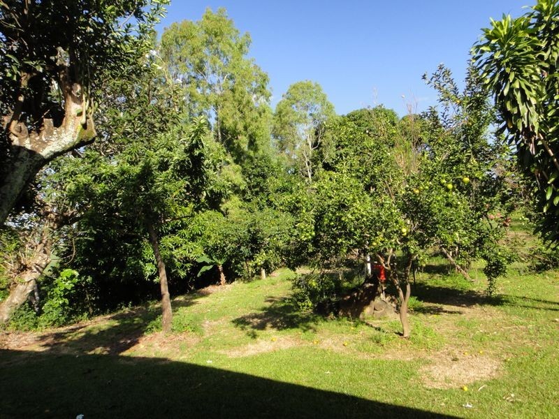 93 Santarossa Road, Via McCracken, Cooya Beach QLD 4873