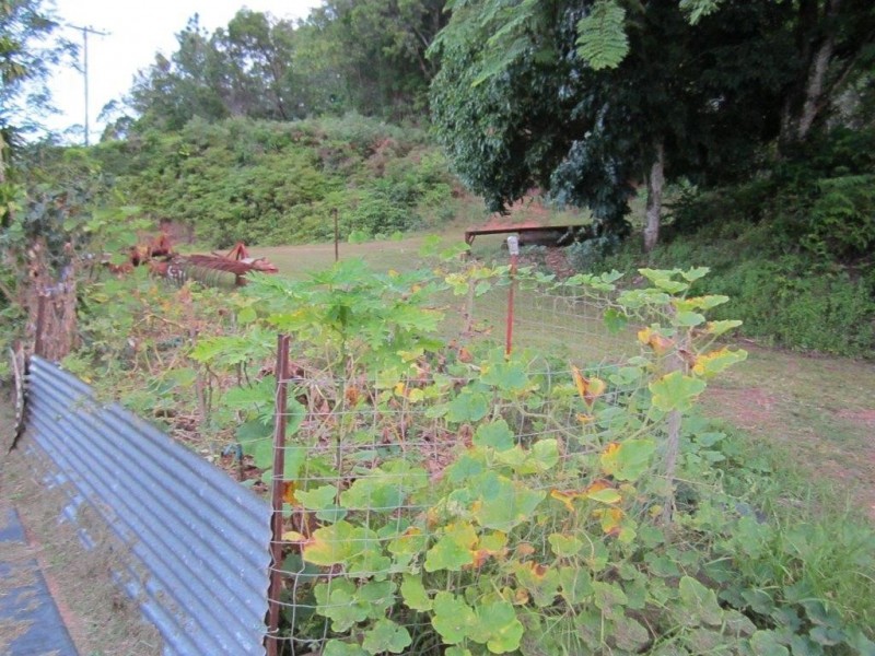 93 Santarossa Road, Via McCracken, Cooya Beach QLD 4873