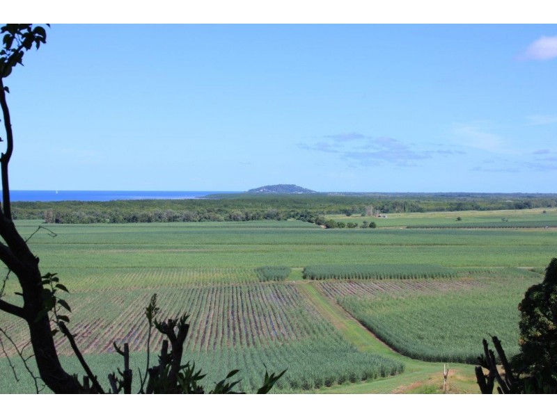 93 Santarossa Road, Via McCracken, Cooya Beach QLD 4873