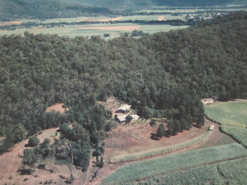 93 Santarossa Road, Via McCracken, Cooya Beach QLD 4873