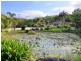 151 Ponzo Road, Shannonvale QLD 4873