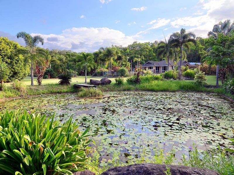 151 Ponzo Road, Shannonvale QLD 4873