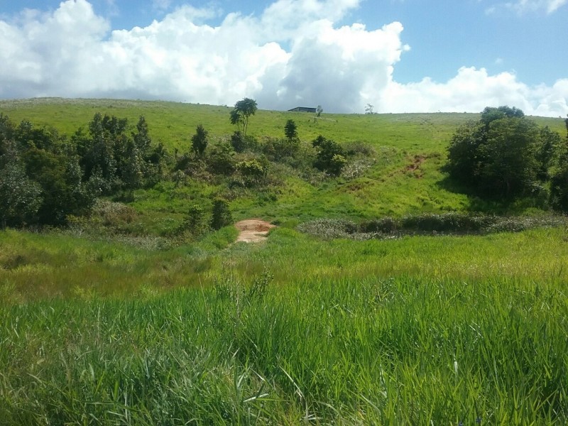 Lot 3 Nine Mile Road, Julatten QLD 4871