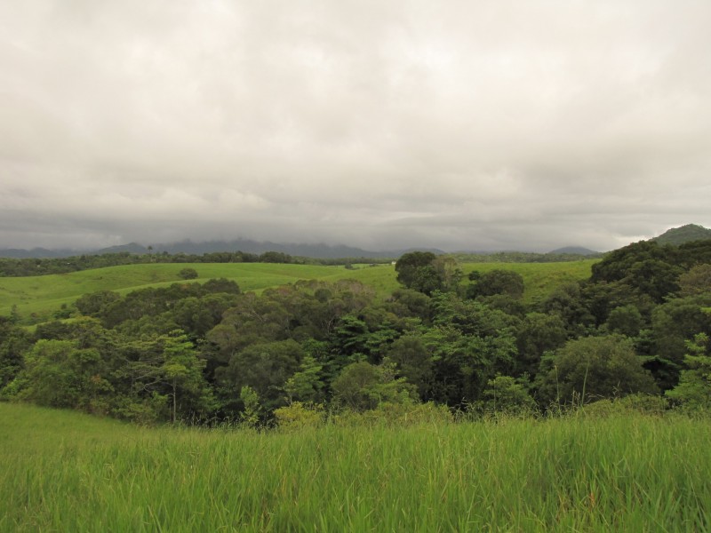 Lot 3 Nine Mile Road, Julatten QLD 4871