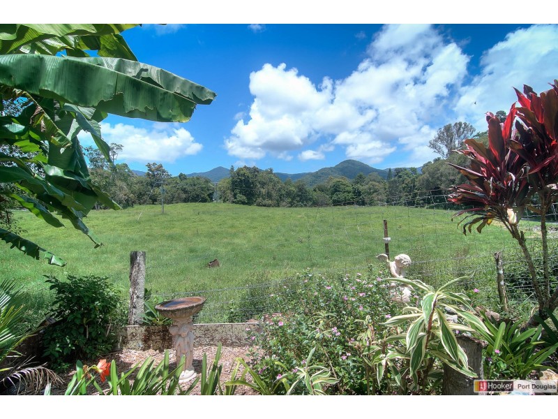 31 Mount Kooyong Rd, Julatten QLD 4871