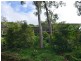 300 Mowbray River Road, Mowbray QLD 4877
