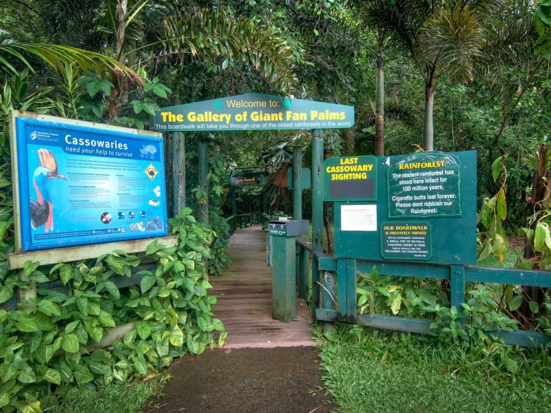 1882 Cape Tribulation Road, Diwan, Daintree QLD 4873