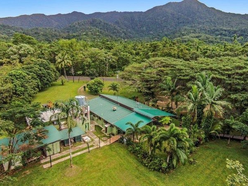 1882 Cape Tribulation Road, Diwan, Daintree QLD 4873