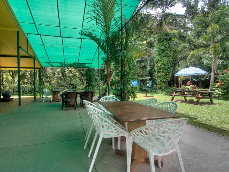 1882 Cape Tribulation Road, Diwan, Daintree QLD 4873