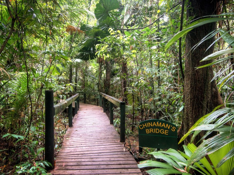 1882 Cape Tribulation Road, Diwan, Daintree QLD 4873