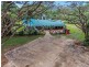 1882 Cape Tribulation Road, Diwan, Daintree QLD 4873