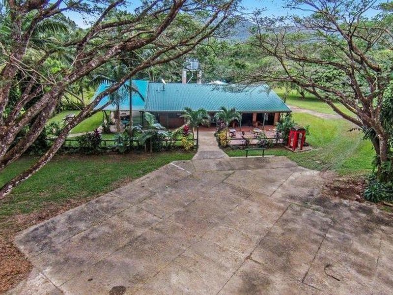 1882 Cape Tribulation Road, Diwan, Daintree QLD 4873