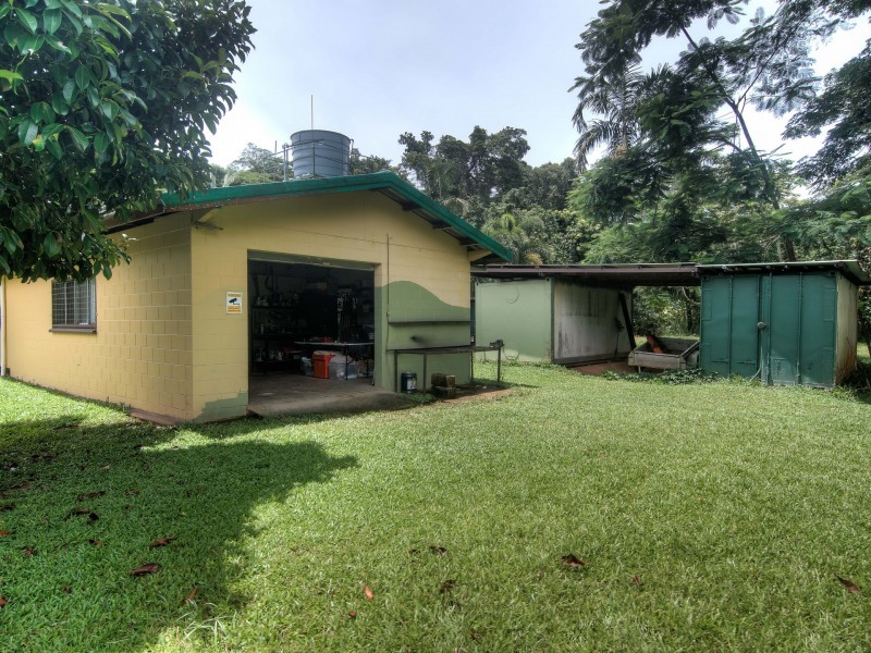 1882 Cape Tribulation Road, Diwan, Daintree QLD 4873