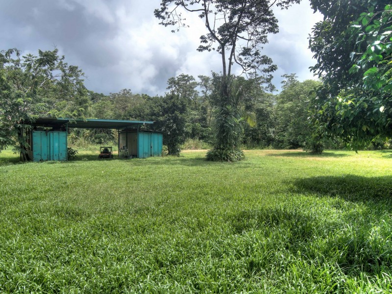 1882 Cape Tribulation Road, Diwan, Daintree QLD 4873