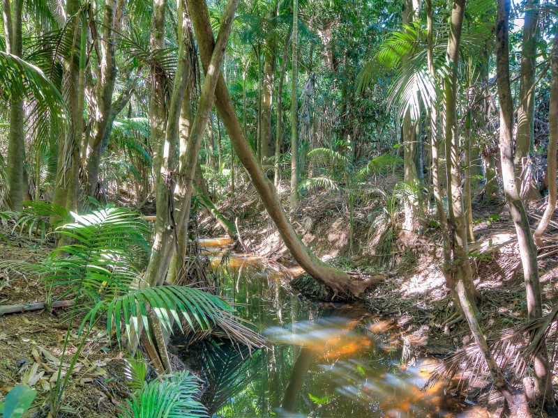 582 Miallo-Bamboo Creek Road, Miallo QLD 4873