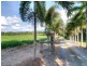582 Miallo-Bamboo Creek Road, Miallo QLD 4873