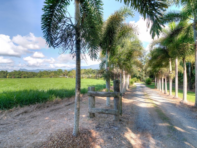 582 Miallo-Bamboo Creek Road, Miallo QLD 4873