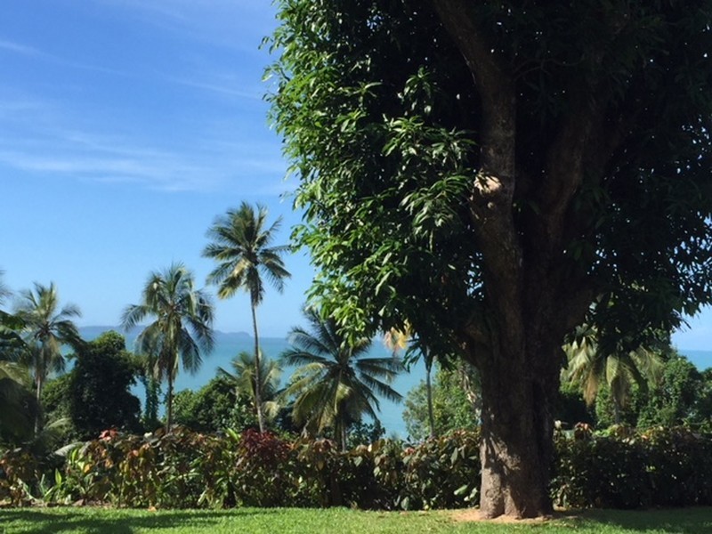 1301 Mossman Daintree Road, Rocky Point QLD 4873