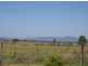 320 Nicholson Road, Alton Downs QLD 4702