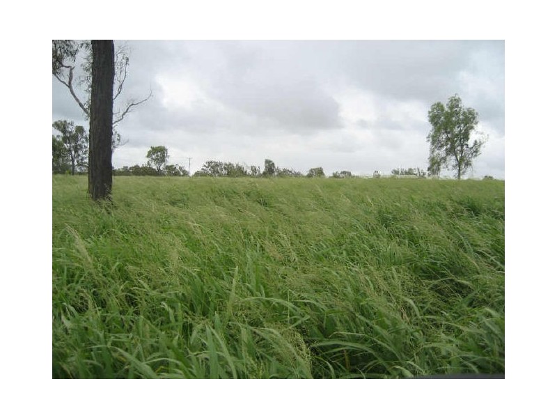 Lot 15 Huff Street, Gracemere QLD 4702