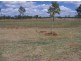 Gracemere QLD 4702