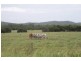 955 Milman Road, Wattlebank, The Caves QLD 4702