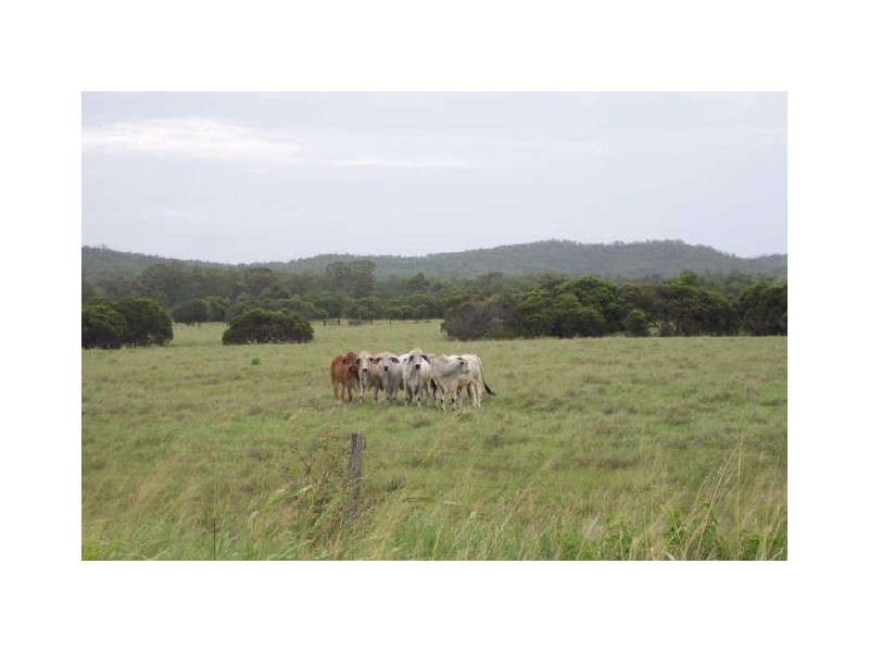 955 Milman Road, Wattlebank, The Caves QLD 4702