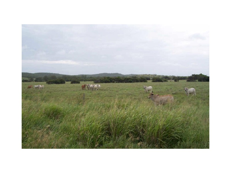 955 Milman Road, Wattlebank, The Caves QLD 4702