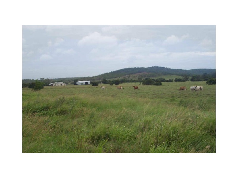 955 Milman Road, Wattlebank, The Caves QLD 4702
