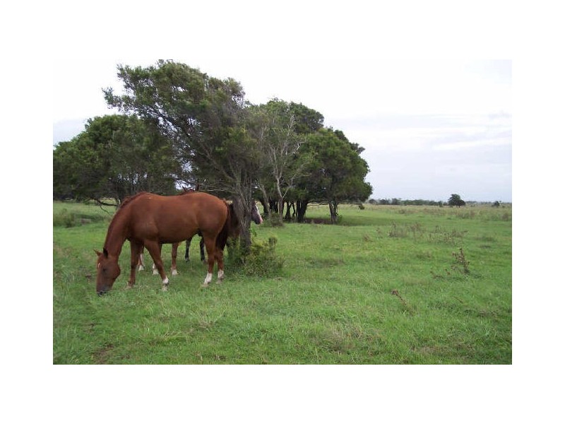 955 Milman Road, Wattlebank, The Caves QLD 4702