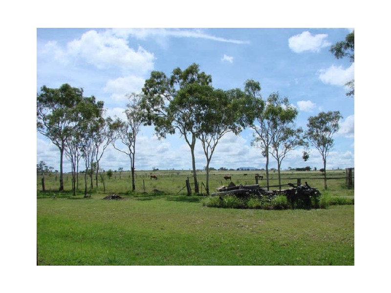 80 South Yaamba Road, Alton Downs QLD 4702