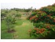 24 Wedel Road, Alton Downs QLD 4702