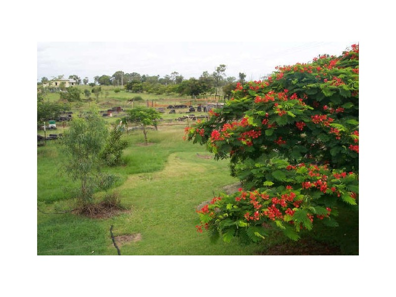 24 Wedel Road, Alton Downs QLD 4702